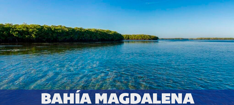 Bahía Magdalena